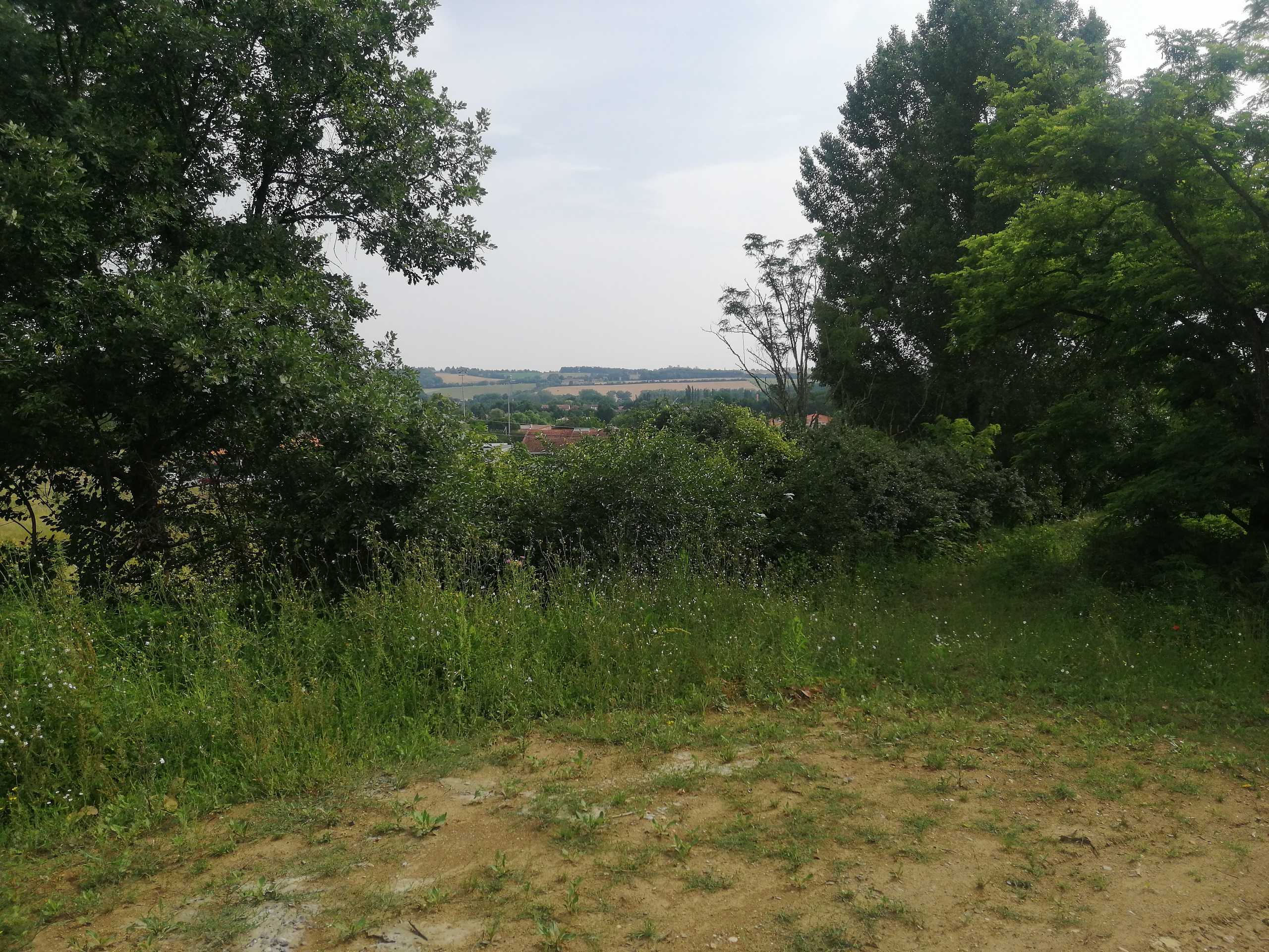 vignette-terrain