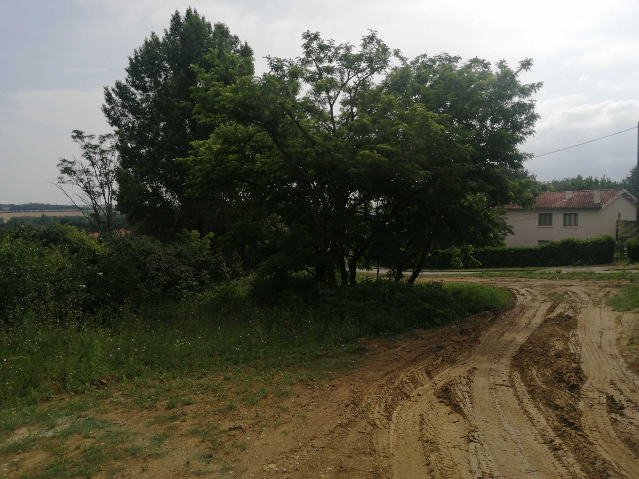 vignette-terrain